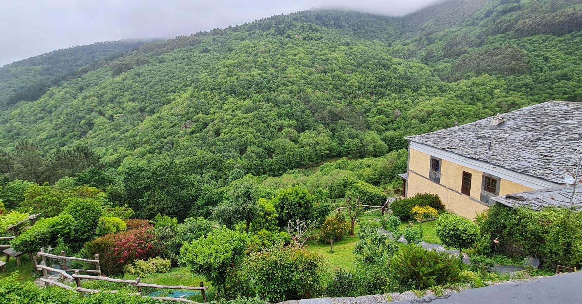 Apartamentos Rurales El Bosque De Las Vinas Boal Extérieur photo